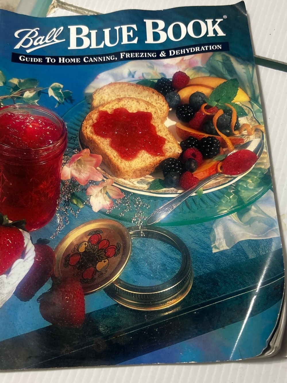 Blue Book Home Canning Guide - Blue Cover